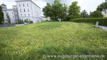 Diskussionen um Kita: „Emissionen von Kindern sind kein Lärm“