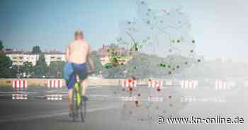 Deutschland im „Hitze-Check“: Wo der Asphalt die Stadt beherrscht