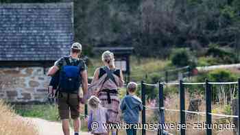 Imposante Ruinen und mystische Wesen: Wandertour für Kinder im Harz