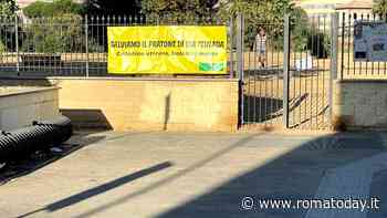 Cittadella giudiziaria, no al sacrificio del pratone di via Teulada