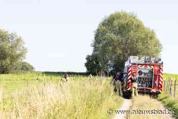 Onbekenden steken stapel hout in brand in weiland: “Nog gevaarlijker met deze tropische temperaturen”