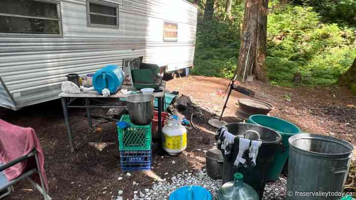 Homeless camps in Chilliwack River Valley see slight uptick after trailer gets deposited near Ford Mtn. FSR