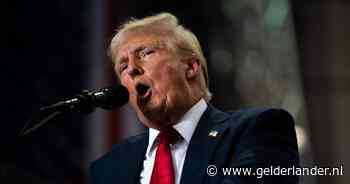 Neef Donald Trump haalt uit naar oom: ‘Moest gehandicapte zoon laten sterven en verhuizen’