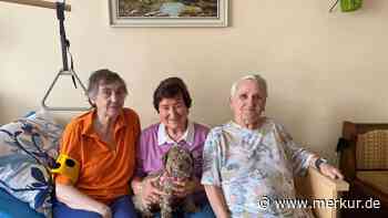 Seit acht Wochen von der Außenwelt abgeschnitten: Zwei Rentnerinnen verzweifeln an der Telekom