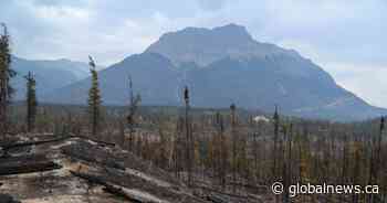 King Charles ‘immensely saddened’ by wildfire destruction in Jasper National Park