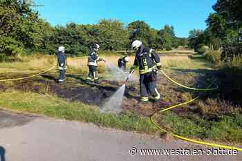 Zwei Jugendliche verhindern Großbrand in Boffzen