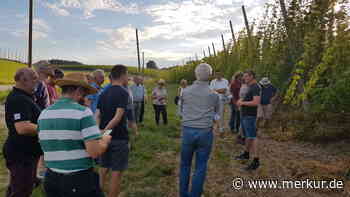 Gut für die Gesellschaft und die Pflanzen: Solarfreunde Moosburg informieren sich über Hopfen-PV-Anlage