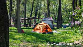 Twee verborgen camera's gevonden tijdens Belgische scoutingkampen, kinderen naar huis gestuurd