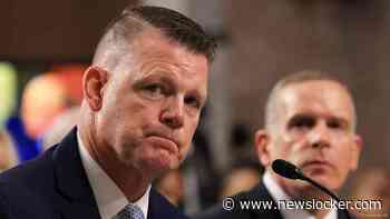 Secret Service zag volgens waarnemend directeur schutter Trump niet op dak