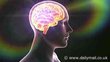 Futurist says there are three stages of human evolution - and we're currently in the second phase