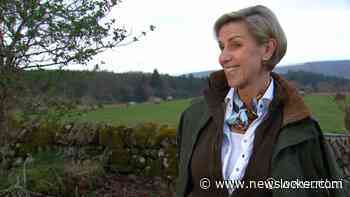 Els flirt erop los bij Robert-Jan: ‘Misschien is dat plagen inderdaad flirten’