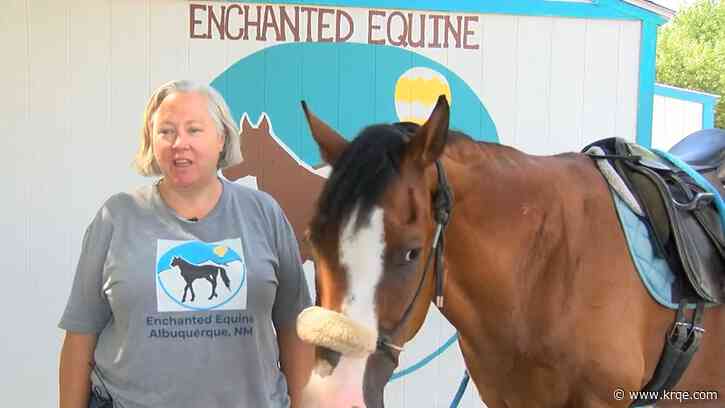 South Valley horse rescue ranch publishes book looking to inspire youth