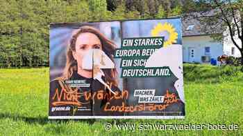 Wahlplakat-Bilanz: So viel Schmiererei und Zerstörung gab es im Kreis Calw