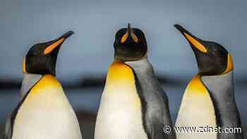 5 reasons why Linux will overtake Windows and MacOS on the desktop - eventually