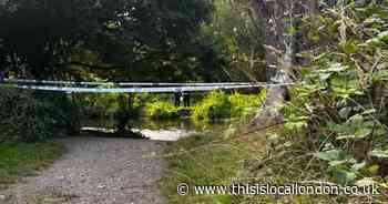 Foots Cray Meadows Sidcup bones found not to be human