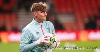 Cameron Plain impresses in Poole Town win over Worthing