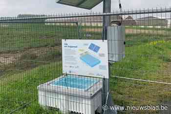 Vijf extra knijtenvallen ingezet langs de Durmedijk om knijtenplaag te bestrijden