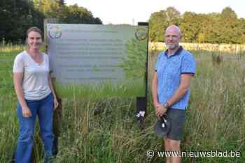 Zoersels voedselbos ’t Groeihof wint Europese prijs: “350 verschillende soorten planten en bomen, en geen vijf van dezelfde soorten naast elkaar”