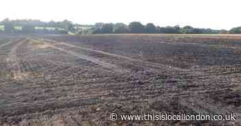 Crockenhill Road Orpington field fire: Two in hospital