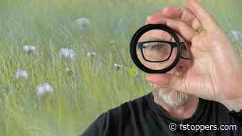 Mastering Year-Round Photography: Tips for Staying Creative