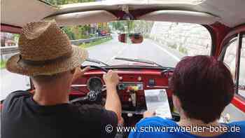 18.  Käfertreffen in Ostelsheim: Kultauto verbindet über Landesgrenzen hinweg