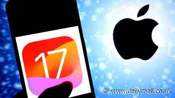 US cyber officials issue urgent warning to millions of Apple users to update iOS on their devices now