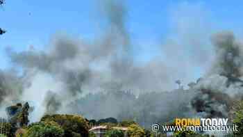 Incendi a Roma, alta colonna di fumo vicino alla città giudiziaria. Fiamme anche nel quadrante sud