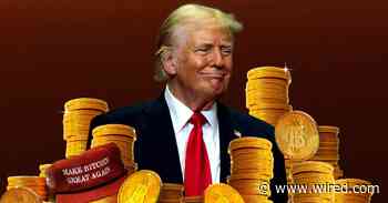 Donald Trump’s Plan to Hoard Billions in Bitcoin Has Economists Stumped