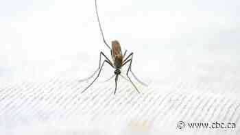 More West Nile virus found in Hamilton region, this time in Caledonia