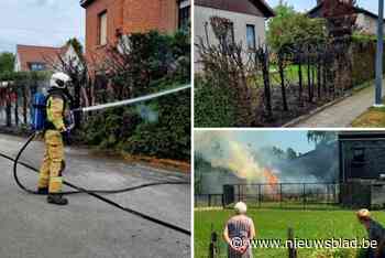 Politie klist verdachte nadat hagen in brand zijn gestoken: “We onderzoeken aan welke feiten hij gelinkt kan worden”