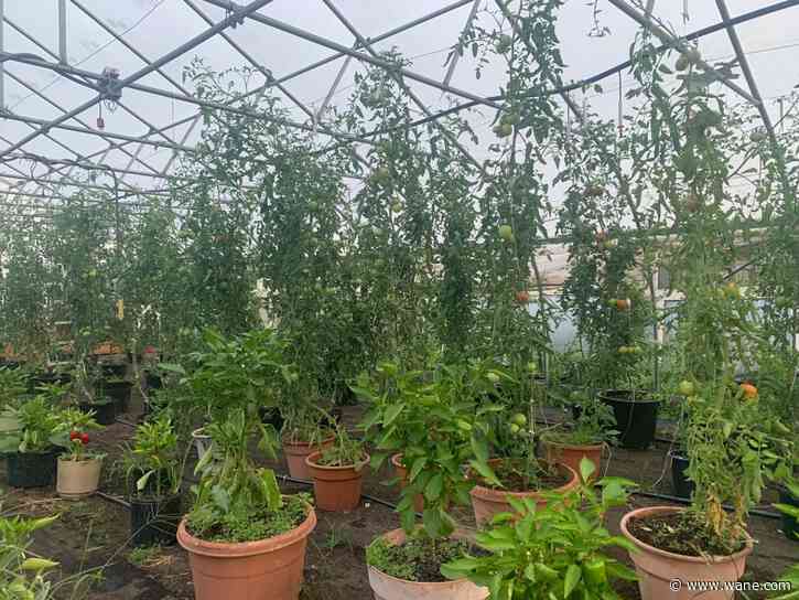 Johnnie Mae Farm Tour presents farm's history, urban gardens