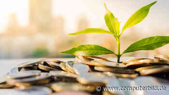 Das Festgeld bei der Umweltbank mit grünem Versprechen