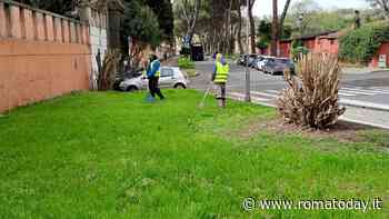 Erbacce e rifiuti assediano il Cimitero Acattolico: alla bonifica ci pensano i volontari