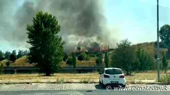 VIDEO | L'incendio a Ponte di Nona nella zona del parco archeologico