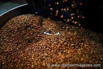 Retaining Flavor While Removing Caffeine – The Chemistry Behind Decaf Coffee