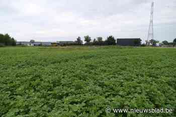 Pionier in windenergie heeft bezwaar tegen allereerste windmolen in Bree