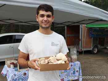 Forest student busy growing and selling mushrooms this summer