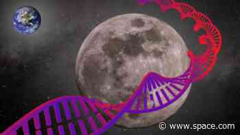 Can the moon help preserve Earth's endangered species?