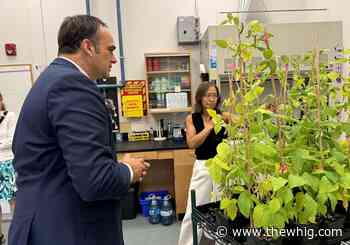 Kingston company strengthening soybeans against climate change earns financial boost
