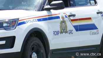 Two dead after motorcycle collides with cow in east-central Sask.
