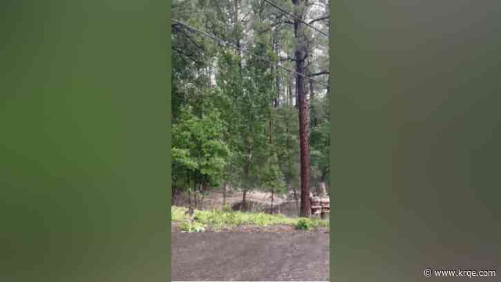 FEMA: Additional disaster assistance available for New Mexico following fires, flooding in Ruidoso area