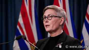 Mary Ellen Turpel-Lafond says a DNA test backs her ancestry claims. CBC asked experts to weigh in