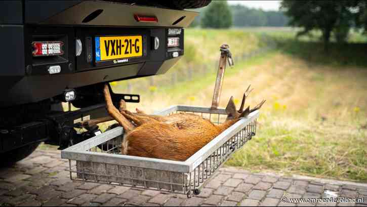 Flevoland - Vrijwilligers ruimen aangereden dieren langs de weg op, en dat is soms flink zoeken