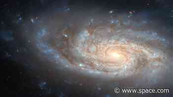 Hubble Telescope spots a stunning spiral galaxy shining in the 'Little Lion' (image)