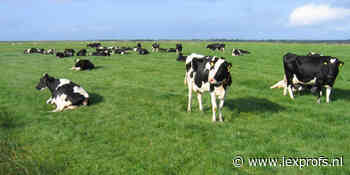 Must read: Nederlandse aandelentips van de profi's