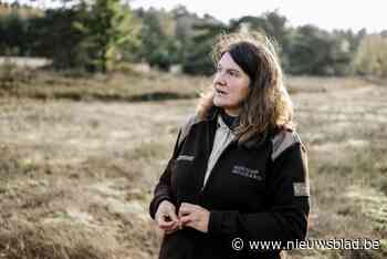 Boswachters zijn vaak zélf opgejaagd wild: “Als ik zeg dat een hond aan de lijn moet, word ik uitgemaakt”