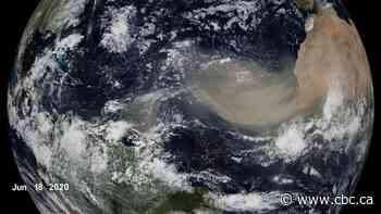 Sand from the Sahara Desert causing recent lull in the hurricane season: scientists