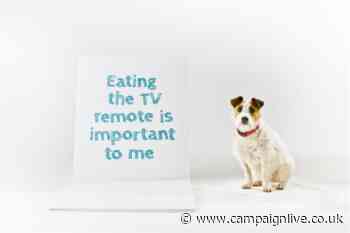 Naturo hands presenting duties to dogs in first campaign by VCCP