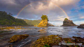 Essential Photography Tips