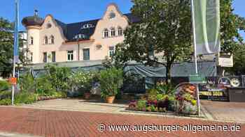 Es geht in die nächste Runde